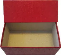 Modern Currency Box - 2191.1