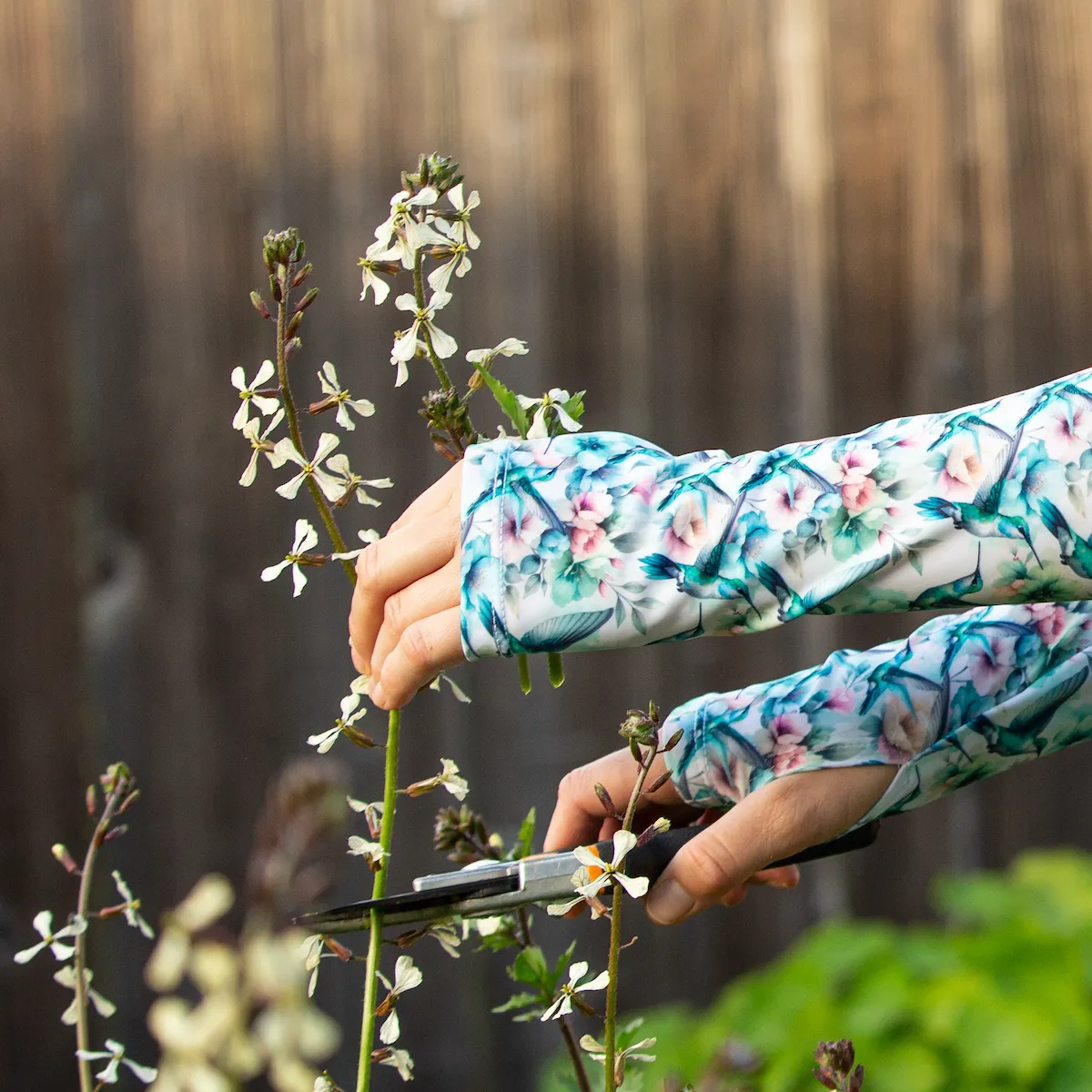 Protection Sleeves - Hummingbird Nectar
